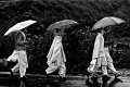 508 - girls in the rain - BIANCHINI Simone - italy